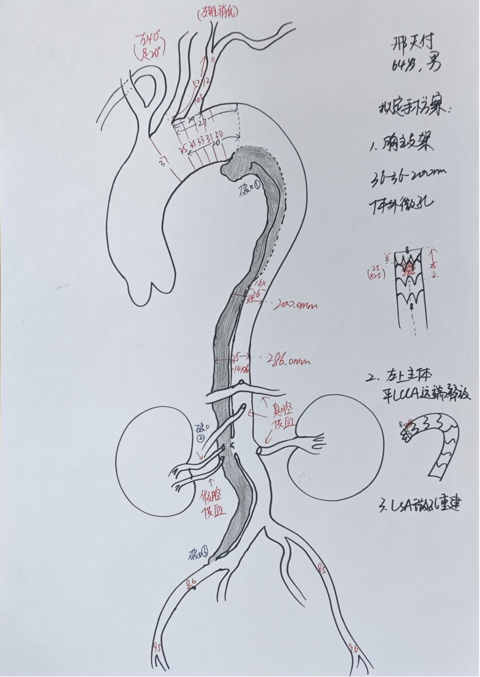 图片8